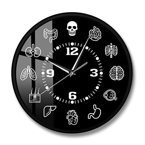 Reloj Biologico Del Cuerpo